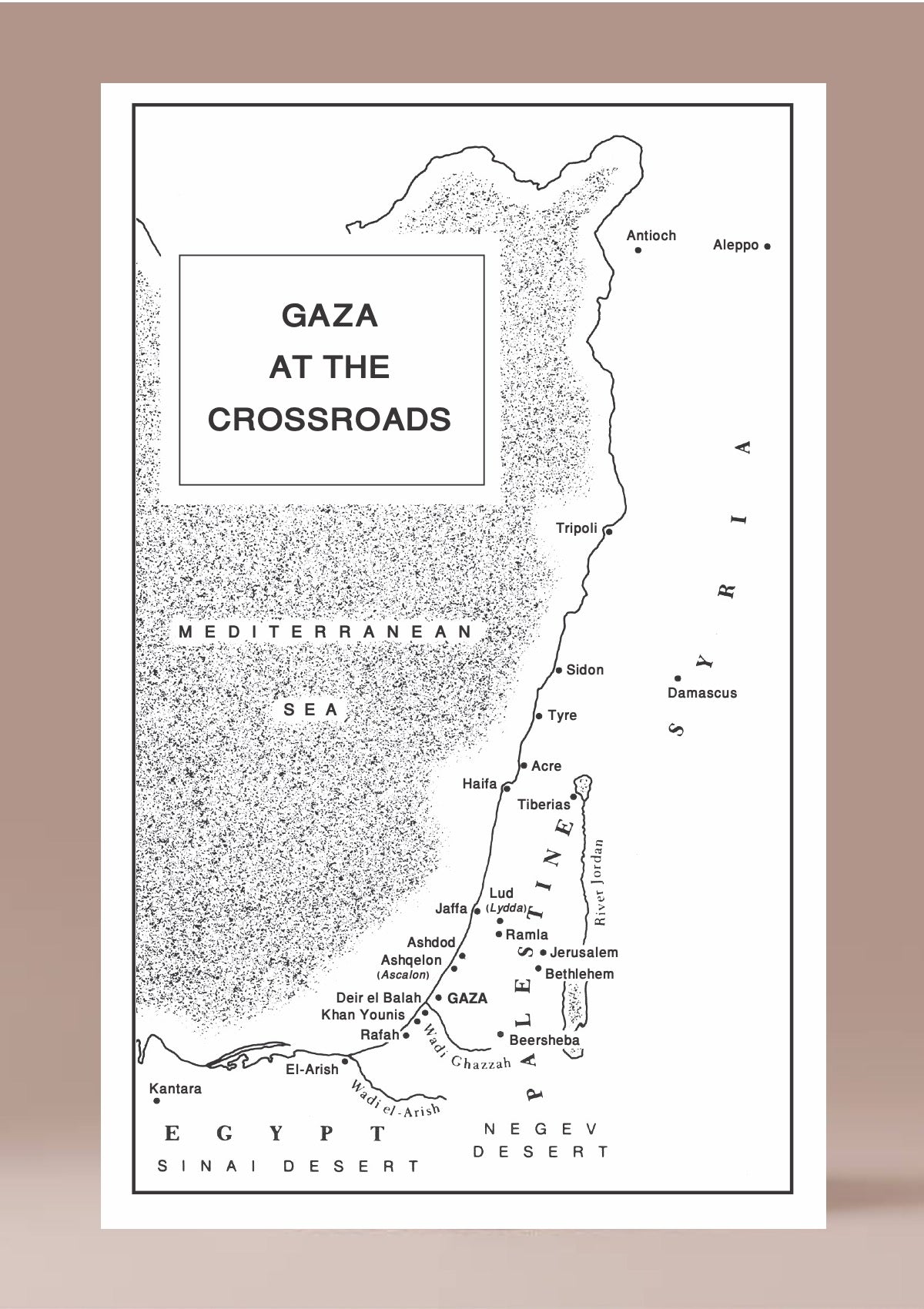 Life at the Crossroads: A History of Gaza