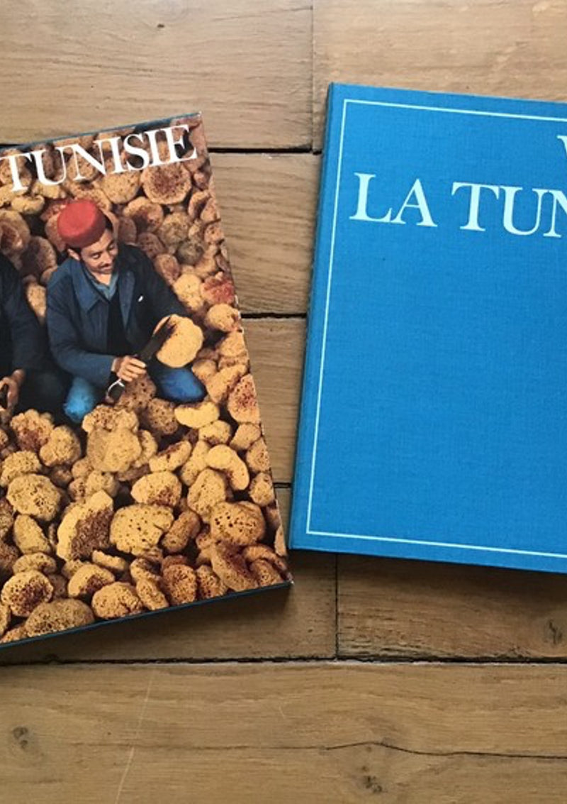 Voir la Tunisie