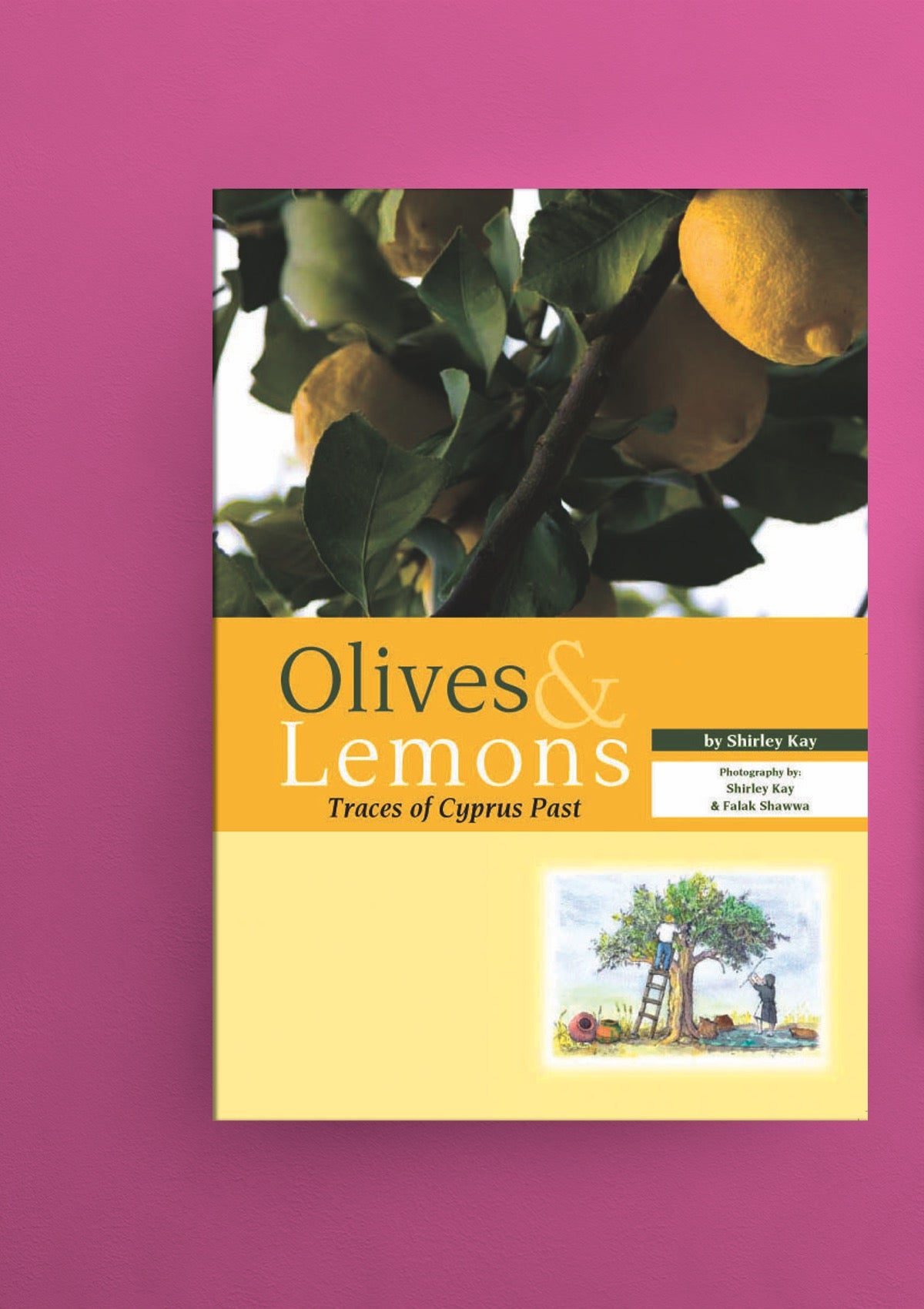 Olives & Lemons